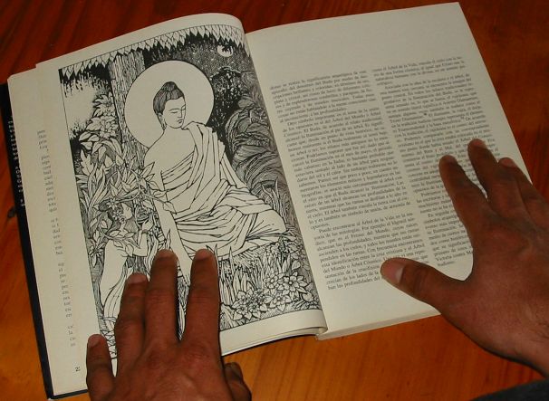 vista del libro adentro